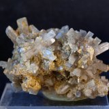 Celestina
5.5 x 3.5 cm
(Autor: Pedro Antonio)
