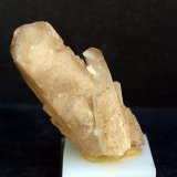 Celestina
7.5 x 3 cm
(Autor: Pedro Antonio)