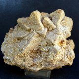 Calcita pseudomorfizada por arena
11 x 8 cm
(Autor: Pedro Antonio)
