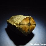 Andalucita (variedad quiastolita)
50x30 mm.
(Autor: Jesus Franquesa Baucells)