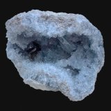 Celestina
17,2 x 11,5 cm.
(Autor: Xavier bordas)