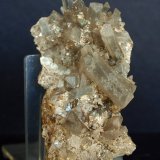 Celestina
7 x 3.5
(Autor: Pedro Antonio)