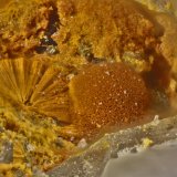 Goethita
Esfera 1mm
(Autor: Jorgina-Agusti-Màrius)