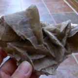 Yeso
13 x 7 cm
(Autor: Cristalino)