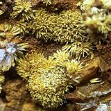 Piromorfita/Fosfohedifana
Encuadre de 5x5 mm
(Autor: Emilio Téllez)