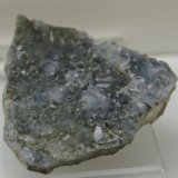 Celestina
50 x 45 cr gr.5 mm
(Autor: Jesus Franquesa Baucells)