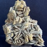 Barita
9.5 x 7.5 cm
(Autor: Pedro Antonio)