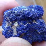 Azurita
2,5 x 2 cm
(Autor: Cristalino)