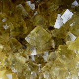 Fluorita
200 x 190 mm. Cristal mayor 19 mm.
(Autor: Jesus Franquesa Baucells)