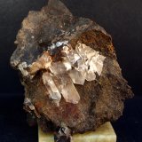 Yeso
11 x 8 cm
(Autor: Pedro Antonio)