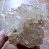 Halita
5 x 5 cm
(Autor: Cristalino)