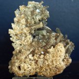 Celestina
7.5 x 6 cm
(Autor: Pedro Antonio)