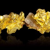 Oro con Cuarzo
8,5 x 6 x 6,5 cm
(Autor: Museo MIM)