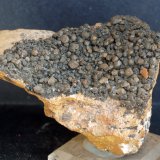 Cerusita
9 x 7.5 cm
(Autor: Pedro Antonio)