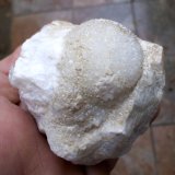 Cuarzo
Esfera de 2,5 cm
(Autor: Cristalino)