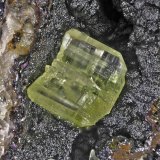 Cerusita
5 x 7 mm
(Autor: Jorgina-Agusti-Màrius)