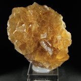 Fluorita
8,5 x 7,5 cm. (Cristal mayor: 2,5 cm).
(Autor: Darío Menéndez)