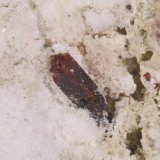 Manganoneptunita
2 x 0,8 mm
(Autor: Jorgina-Agusti-Màrius)
