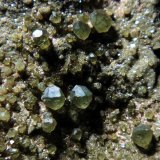 Andradita (variedad demantoide) (Grupo Granate)
Campo de visión 4 cm.
(Autor: Antonio P. López)
