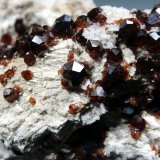 Spessartina (Espesartina) y Microclina
Campo de visión 4 cm.
(Autor: Antonio P. López)