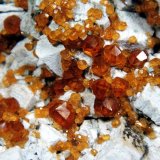 Spessartina (Espesartina) y Microclina
Campo de visión 3 cm.
(Autor: Antonio P. López)