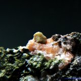 Titanita
Cristal de 4 mm.
(Autor: Antonio P. López)