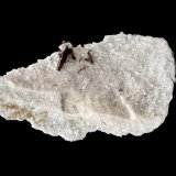 Dissakisita-(Ce)-Allanita-(Ce) (Serie) y Hidroxilbastnäsita-(Ce) [Hydroxylbastnäsite-(Ce)] en Dolomita [Dolomite]
6 x 4 cm.
(Autor: Antonio P. López)