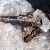 Dissakisita-(Ce)-Allanita-(Ce) (Serie) en Dolomita [Dolomite]
Cristal mayor de 13 mm.
(Autor: Antonio P. López)