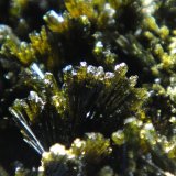 Epidota
Campo de visión 2 cm.
(Autor: Antonio P. López)