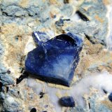 Benitoita
Cristal de 13 mm.
(Autor: Antonio P. López)
