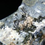 Petarasita, Aegirina
Campo de visión 4 cm.
(Autor: Antonio P. López)