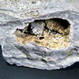 Osumilita
6 x 4 cm.
(Autor: Antonio P. López)