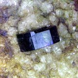 Osumilita, Tridimita
Cristal de 3 mm.
(Autor: Antonio P. López)