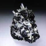 Berilo (variedad aguamarina) en Schorlo (Chorlo)
8 x 6 cm.
(Autor: Antonio P. López)