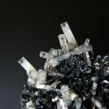 Berilo (variedad aguamarina) en Schorlo (Chorlo)
Cristales de 2 cm.
(Autor: Antonio P. López)