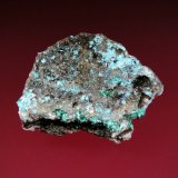 Plancheita
5 x 3 cm.
(Autor: Antonio P. López)