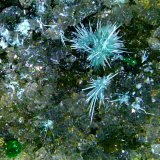 Plancheita, Dioptasa
Campo de visión 4 mm.
(Autor: Antonio P. López)