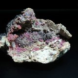 Inesita
8 x 6 cm.
(Autor: Antonio P. López)