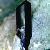 Neptunita
Cristal de 11 mm.
(Autor: Antonio P. López)