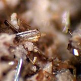 Enstatita
Cristal de 2 mm.
(Autor: Antonio P. López)
