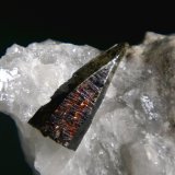 Aegirina, Cuarzo
Cristal de 2,1 cm.
(Autor: Antonio P. López)