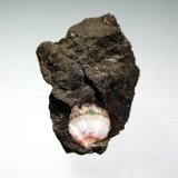 Thomsonita-Ca
4 x 3 cm.
(Autor: Antonio P. López)