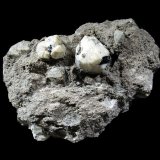 Leucita
11 x 8 cm.
(Autor: Antonio P. López)