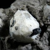 Leucita
Cristal de 2 cm.
(Autor: Antonio P. López)