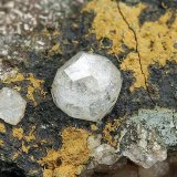 Analcima
Cristal de 5 mm.
(Autor: Antonio P. López)