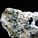 Haüyna
Campo de visión 2 cm.
(Autor: Antonio P. López)