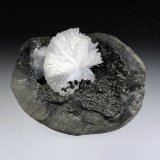 Epistilbita
8 x 6 cm.
(Autor: Antonio P. López)