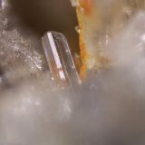 Anglesita
Cristal 0,5 x 0,2 mm
(Autor: Jorgina-Agusti-Màrius)