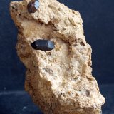 Cuarzo (variedad morión)
9.5 x 5 cm
(Autor: Pedro Antonio)