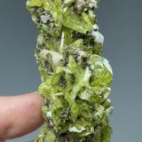 Titanita, Albita
85 mm x 34 mm.. Cristal mayor: 12 mm. Masa: 95 g.
(Autor: Carles Millan)